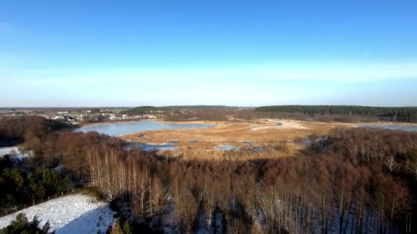 Closing Aerial Shot Frozen Lake Covered Some Plants Cane Curly — Stockvideo