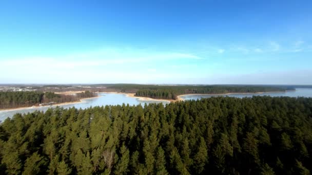 Aerial Closing Shot Enormous Frozen Lake Spruce Forest Winter Season — Video Stock