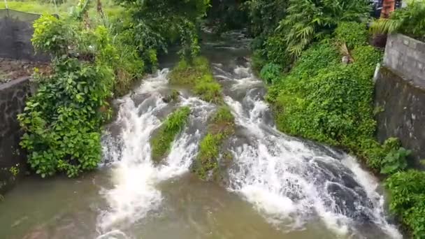 Forest Cyclone River — Stockvideo
