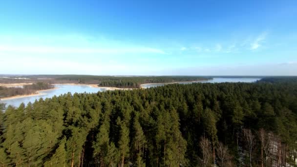 在波兰冬季 空中俯瞰美丽的风景 远处是云杉林和结冰的湖泊 — 图库视频影像