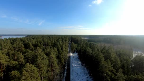 Aerial View Road Going Forest Winter Season Poland — Stockvideo