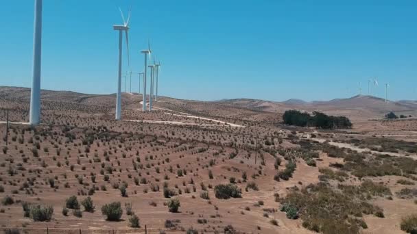 Turbiny Drogowe Ekologiczne Suchym Lądzie Chile — Wideo stockowe