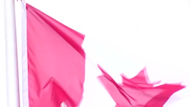 Slow Motion Shot Canadian Flag Flying Wind — Stok Video