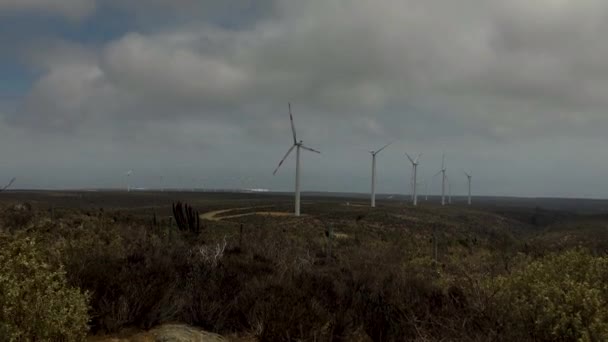 Eolic Turbines Vegetation Cloudy Sky — Vídeo de Stock