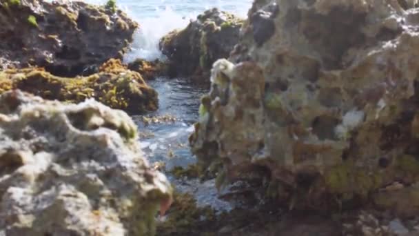 Combination Rocks Ocean Water Splash — Stok video
