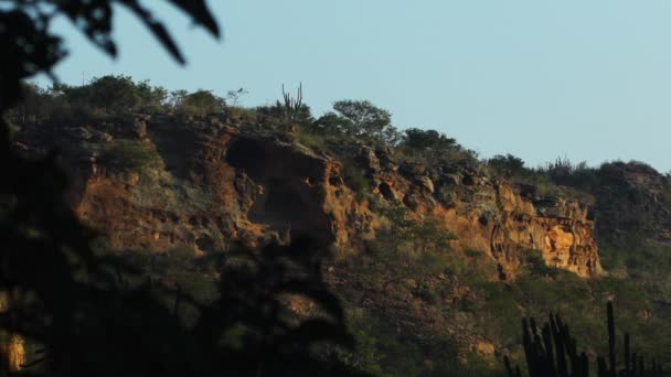 Sandstone Mountain Wall Morning Sunlight Caatinga Desert Brazil — Vídeos de Stock