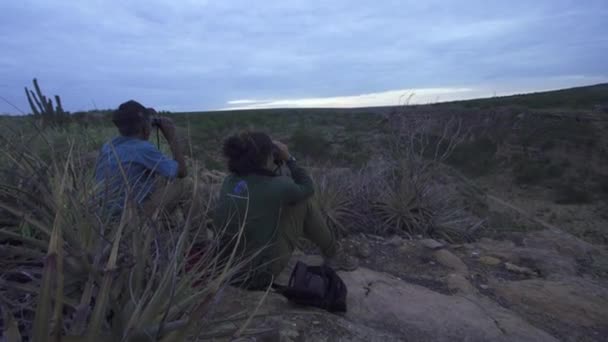 Tourist Field Guide Looking Binoculars Beautiful Desert Valley Landscape Caatinga — Wideo stockowe