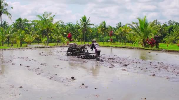 Balinese Hardworker Rice Field Hand Maschine — Stok video