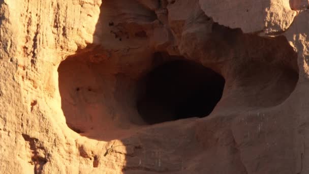 Caatinga Lizzard Sandstone Cliff Hole Nest Lear Macaw — Stockvideo