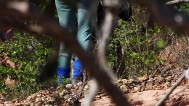 Unrecognizable People Walking Desert Shrubs Caatinga Brazil — Video