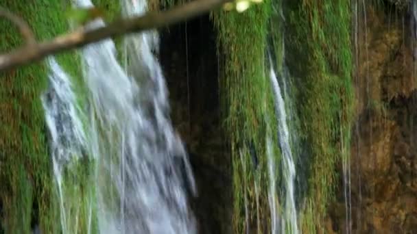 Waterfall Lake Plitvice Lakes Park Croatia — Wideo stockowe