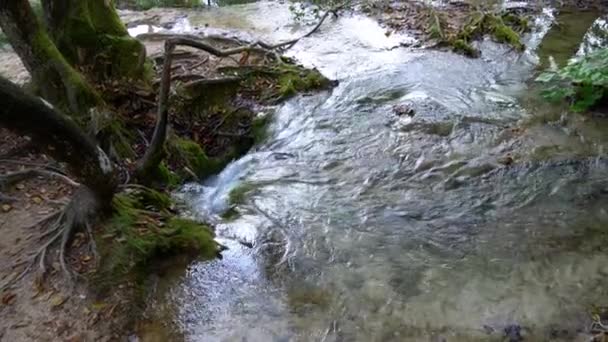 Small Waterfall Plitvice Lakes Park Croatia — Stockvideo