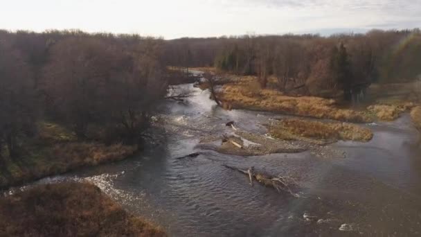 Drone Footage Low River Rapids Sunny Autumn Day Blue Mountains — Vídeo de stock