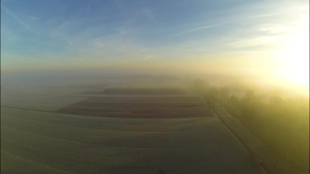 Floating Frozen Landscape Golden Sunrise Fog — Video