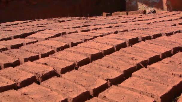 Group Adobe Bricks Laid Out Sun Drying Getting Ready Build — Stock video