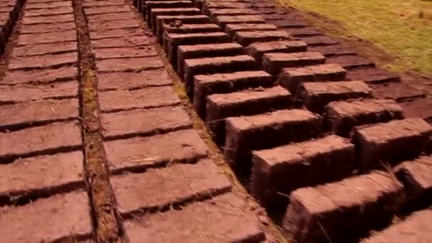 Group Adobe Bricks Laid Out Sun Drying Getting Ready Build — Stok video