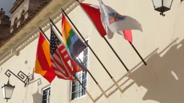 Group National Flags Peru Usa Others — Stockvideo