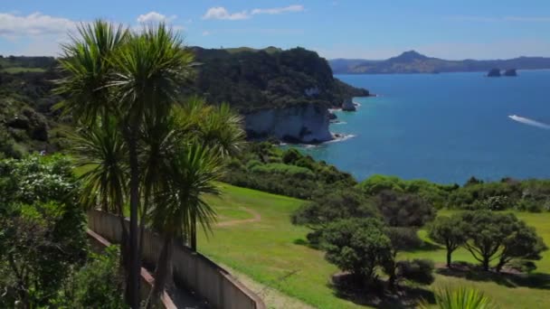 Beautiful Vista New Zealand Coast Cathedral Cove — Stockvideo
