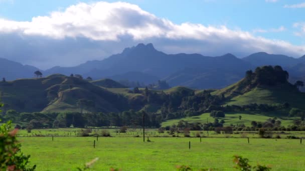 Beautiful View Green Hills Valleys New Zealand — Stockvideo