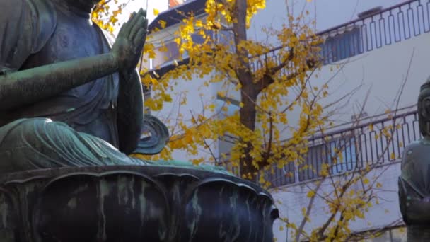 Статуя Будды Возле Большого Храма Сенсодзи Районе Асакуса Токио Япония — стоковое видео