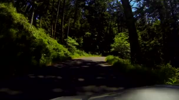 Driving Road Trees Ecola State Park Cannon Beach Coastline Oregon — 비디오