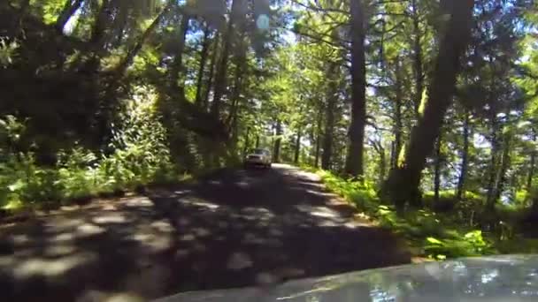 Driving Road Trees Ecola State Park Cannon Beach Coastline Oregon — ストック動画