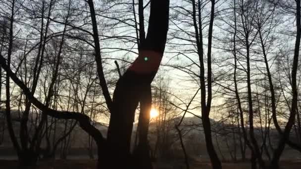 Walking Forest Road Early Spring Season Beautiful Light Coming Sunset — Stockvideo