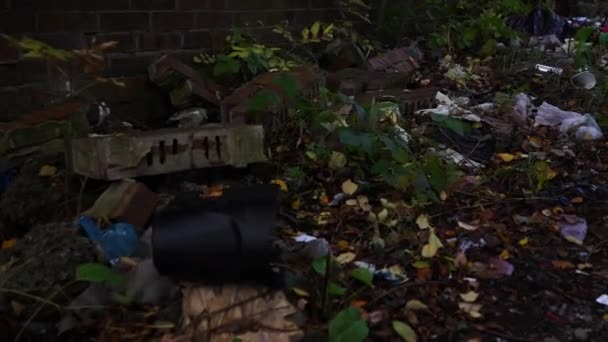 Waste Being Fly Tipped Rubbish Dumping Hazardous Waste Littering Fly — Stockvideo