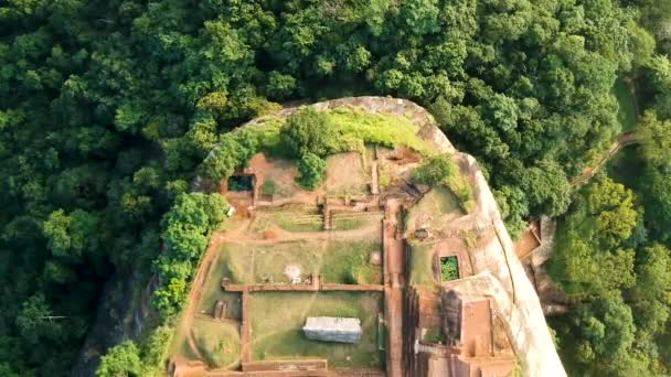 Aerial Lion Rock Sigariya Rock Fortress Dambulla Sri Lanka — Wideo stockowe