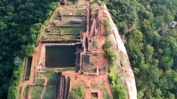 Aerial Lion Rock Sigariya Rock Fortress Dambulla Sri Lanka — Stockvideo
