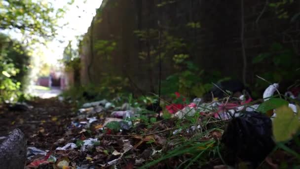Waste Being Fly Tipped Rubbish Dumping Hazardous Waste Littering Fly — Stockvideo