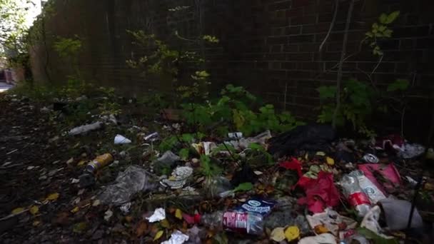 Waste Being Fly Tipped Rubbish Dumping Hazardous Waste Littering Fly — Stok video