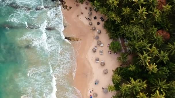 Aerial Idyllic Sri Lanka Beach Palm Trees Waves Sand Beach — Stockvideo