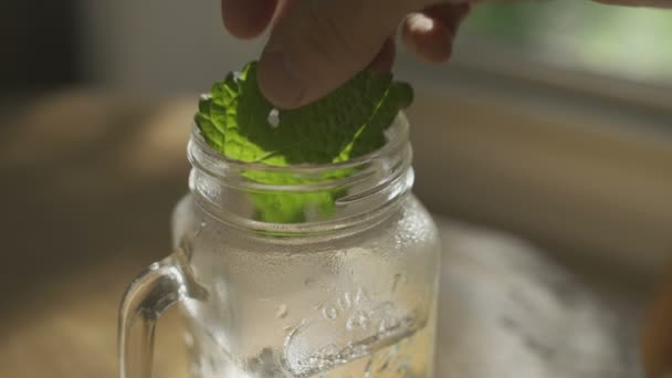 Adding Mint Tea Leaves Glass Mug Boiling Water — Wideo stockowe