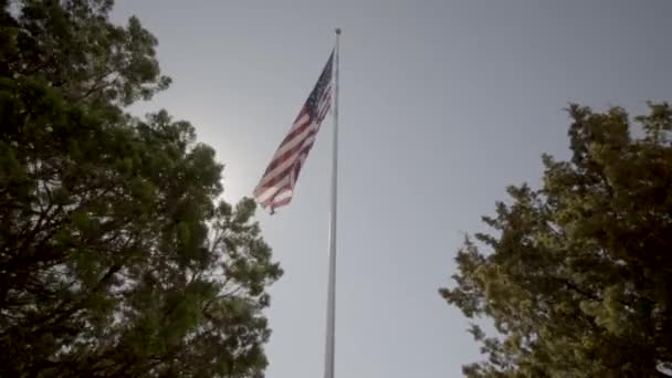 Shot American Flag Waving Wind Flag Pole Hill Park Dallas — Video