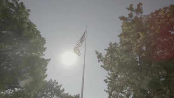 Moving Shot American Flag Waving Wind Flag Pole Hill Park — Stock videók