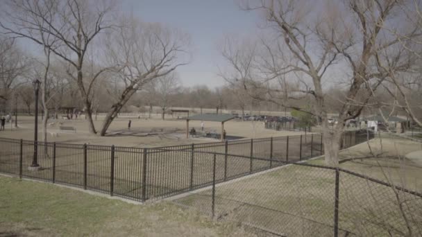 Wide Shot Dogs Playing Running Dog Park — Vídeo de stock