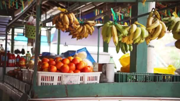 Street Market Showing Fruit Vegetable Stand People Passing Mocajuba Brazil — Vídeo de stock