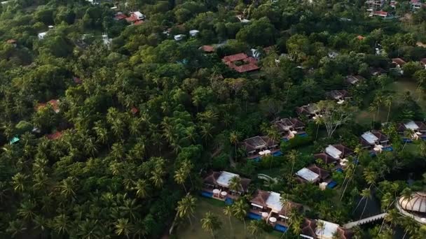 Aerial Idyllic Sri Lanka Beach Palm Trees Waves Sand Beach — Wideo stockowe