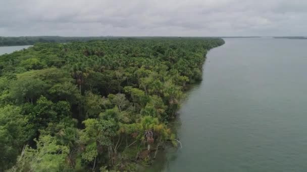 Aerial Shot Amazon Forest River Para Brazil — ストック動画