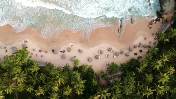 Gökyüzü Sri Lanka Sahili Üzerinde Palmiye Ağaçları Kumsaldaki Dalgalar Tangalle — Stok video