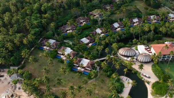 Aérienne Dessus Plage Idyllique Sri Lanka Palmiers Vagues Sur Plage — Video