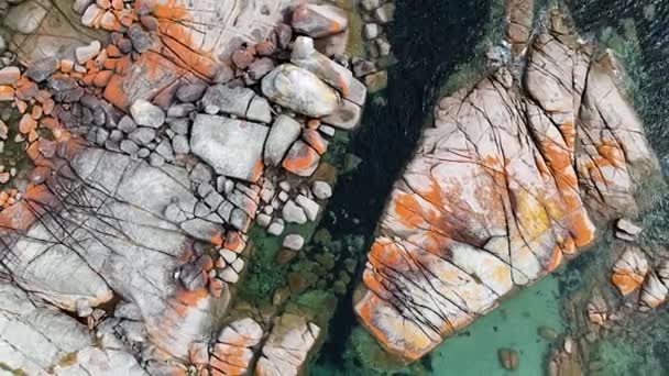 Aerial Bay Fires Bright Orange Rocks Waves Rock Pools Sea — Stockvideo