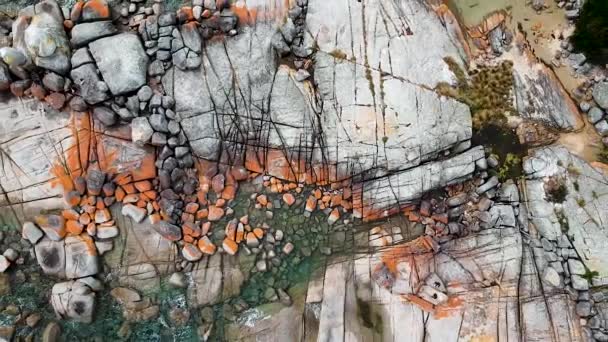 Aerial Bay Fires Bright Orange Rocks Waves Rock Pools Sea — Stockvideo