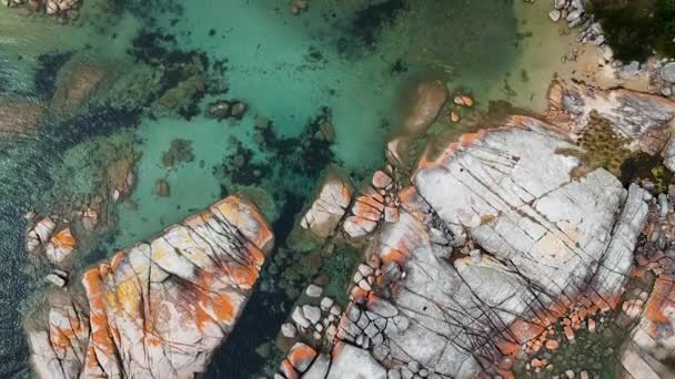 Aerial Bay Fires Bright Orange Rocks Waves Rock Pools Sea — Stockvideo