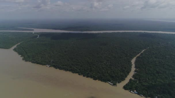 Rio Enorme Amazônico Com Afluentes Dentro Selva Tiro Aéreo Muito — Vídeo de Stock
