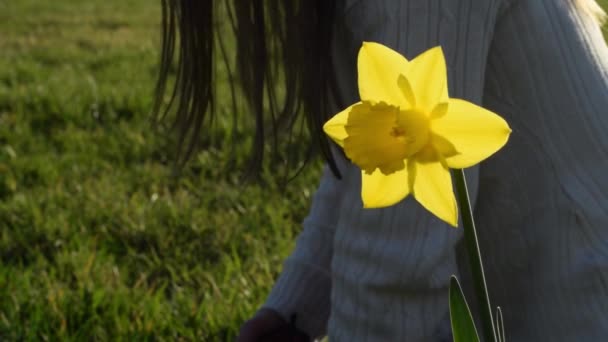 Carefree Woman Relaxing Meadow Daffodils — Stok video