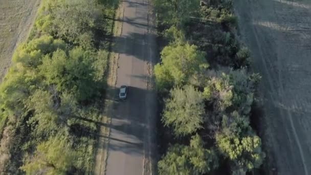 Aerial Tracking Shot Car Tarroad Tree Line Green Field — 图库视频影像