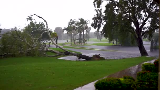 Golf Course Intense Rain Fallen Tree Background — Stock Video