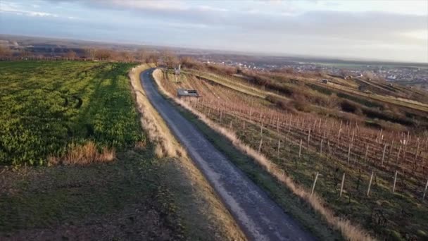 Drone Aerial View Vineyard Flying Road Dramatic Golden Sky — 비디오